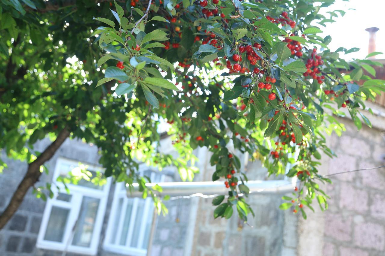 Guest House David'S B&B 기우므리 외부 사진
